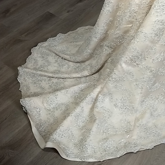 Exquisitely detailed one of a kind gown. - Picture 10 of 12